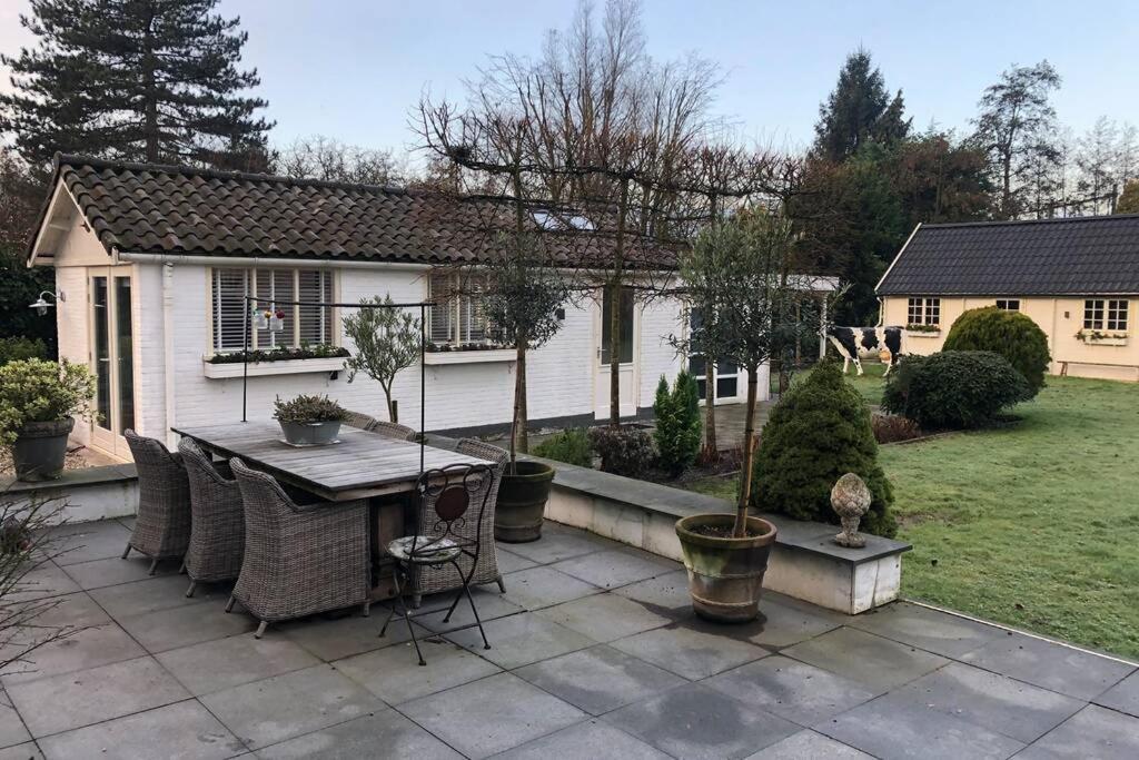 Tiny House In Tuin Van De Statige Villa Mariahof 多德雷赫特 外观 照片