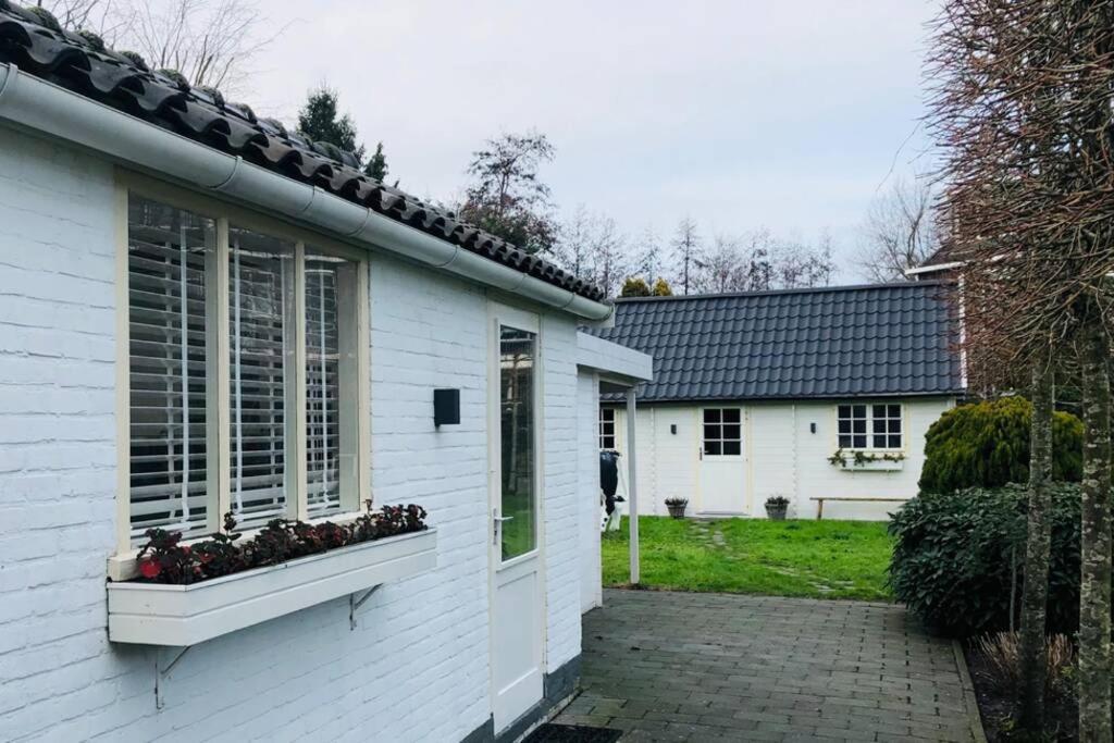 Tiny House In Tuin Van De Statige Villa Mariahof 多德雷赫特 外观 照片