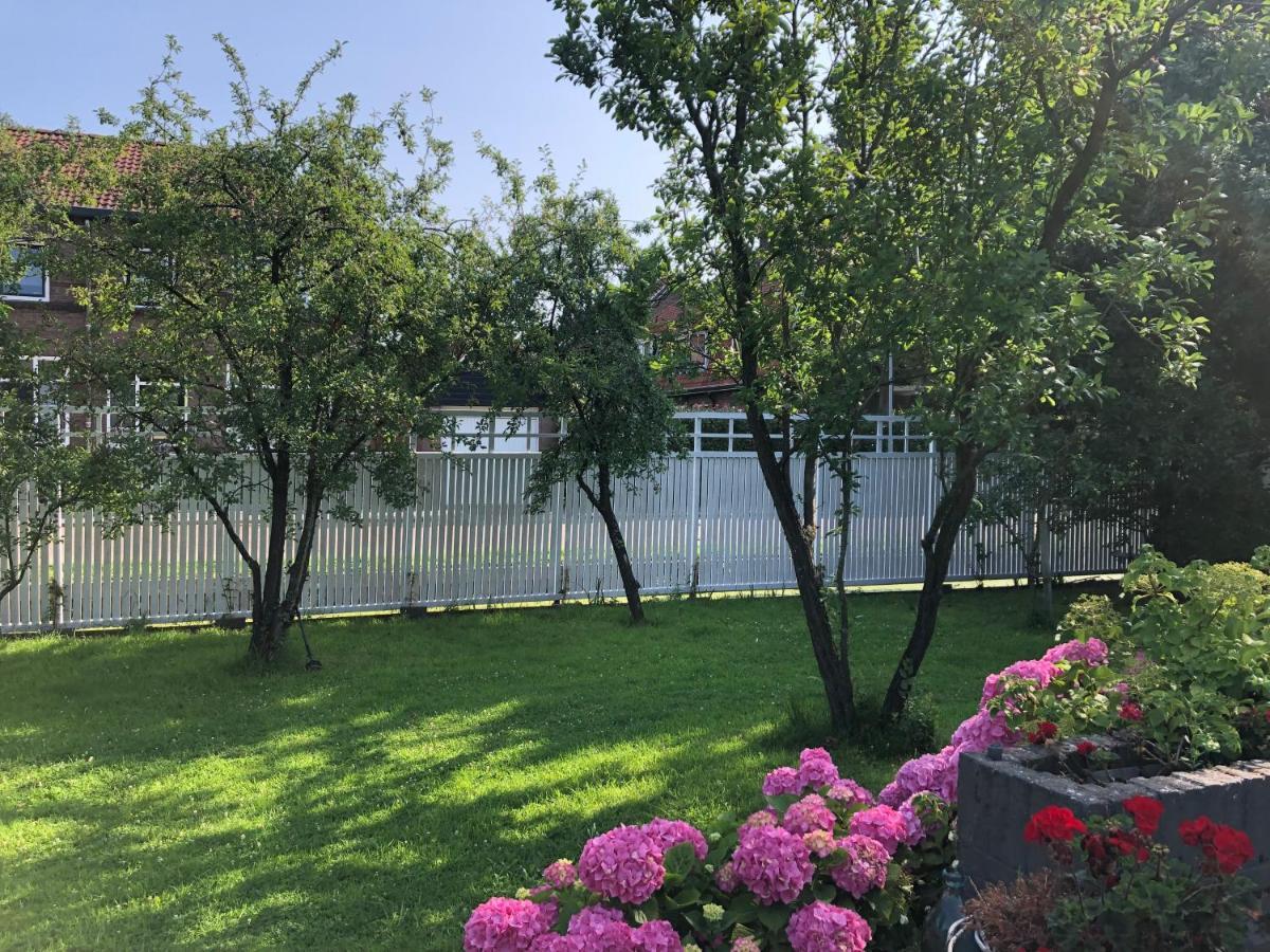 Tiny House In Tuin Van De Statige Villa Mariahof 多德雷赫特 外观 照片