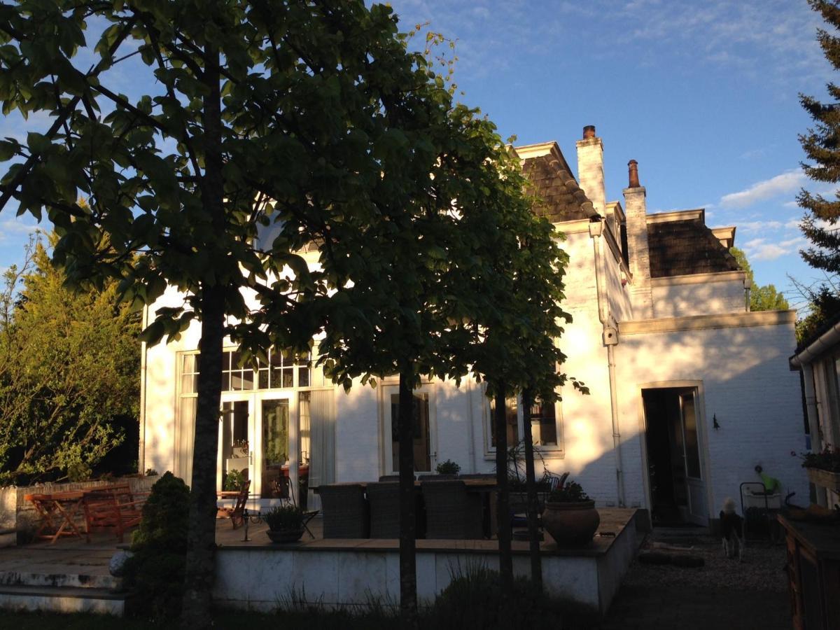 Tiny House In Tuin Van De Statige Villa Mariahof 多德雷赫特 外观 照片