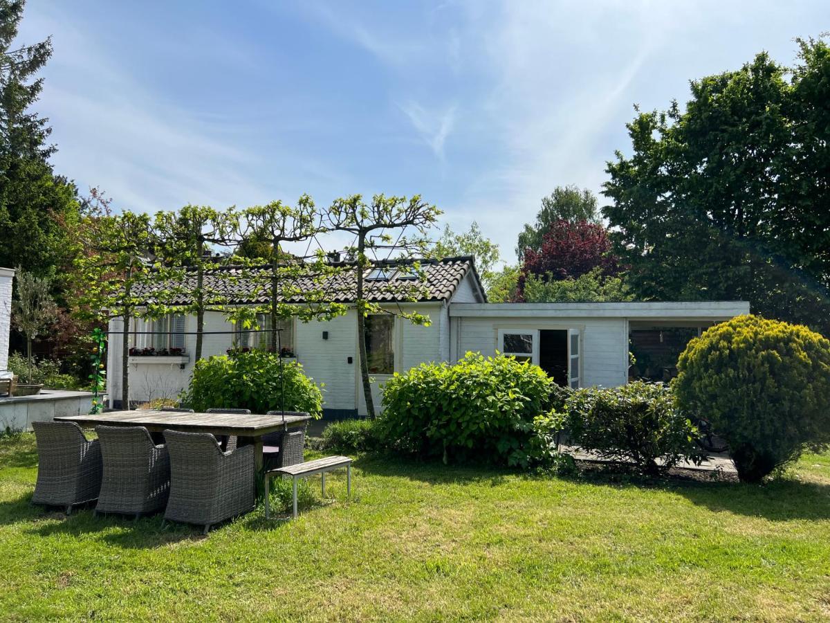 Tiny House In Tuin Van De Statige Villa Mariahof 多德雷赫特 外观 照片