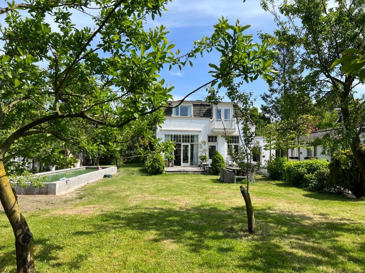 Tiny House In Tuin Van De Statige Villa Mariahof 多德雷赫特 外观 照片
